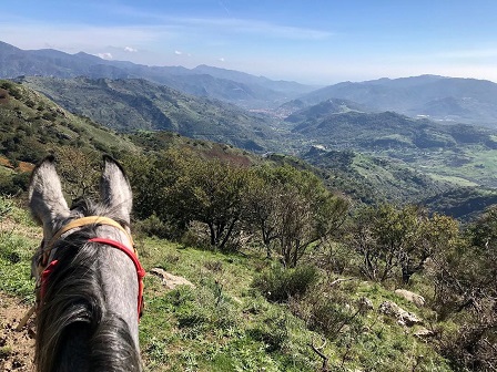 Madonie Trail - Sicily 